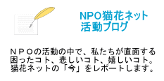 NPO猫花ネット活動ブログ　活動の中で私たちが直面する日々の状況。こまったコト、悲しいコト、嬉しいコト。どうぞお立ち寄りください。